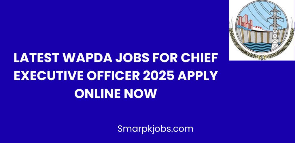 Latest WAPDA Jobs For Chief Executive Officer 2025 Apply Online Now